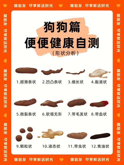 狗狗拉屎怎么清理_狗狗拉屎怎么清理掉-第4张图片-后鲨宠物 狗狗拉屎怎么清理_狗狗拉屎怎么清理掉-第4张图片-后鲨宠物