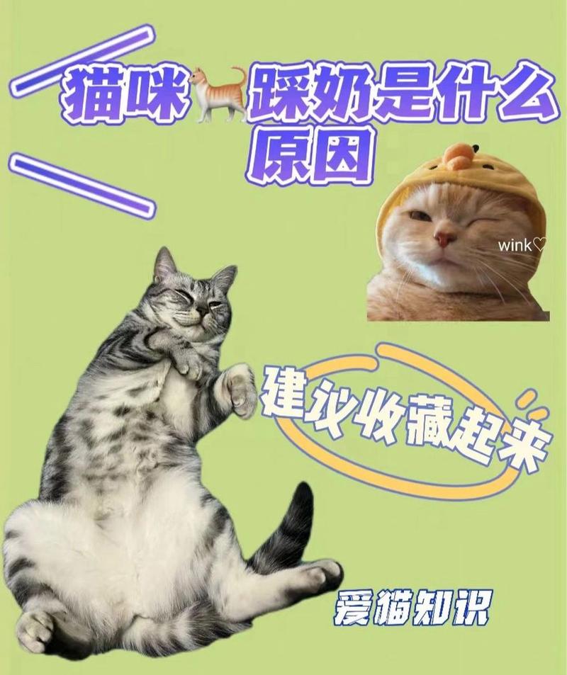 猫猫一直踩奶,猫猫一直踩奶发出咕咕声-第2张图片-后鲨宠物 猫猫一直踩奶,猫猫一直踩奶发出咕咕声-第2张图片-后鲨宠物