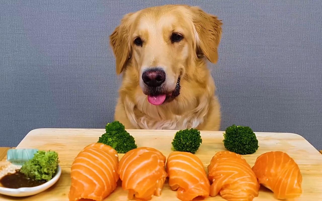 三文鱼对狗狗的好处_三文鱼对狗狗的好处有哪些-第2张图片-后鲨宠物 三文鱼对狗狗的好处_三文鱼对狗狗的好处有哪些-第2张图片-后鲨宠物