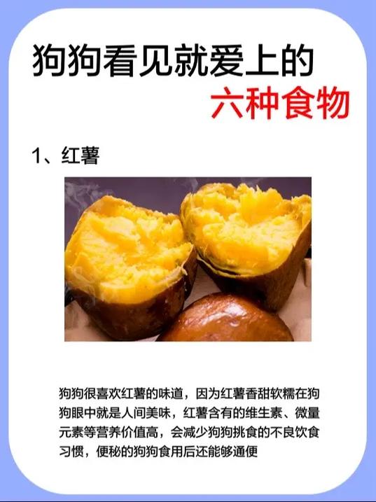 狗狗肠胃炎吃什么_狗狗肠胃炎吃什么药 阿莫西林有用吗-第5张图片-后鲨宠物 狗狗肠胃炎吃什么_狗狗肠胃炎吃什么药 阿莫西林有用吗-第5张图片-后鲨宠物