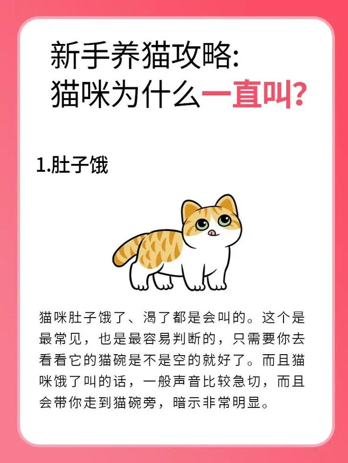 猫咪一直叫是什么意思,猫咪一直叫是啥意思?-第2张图片-后鲨宠物 猫咪一直叫是什么意思,猫咪一直叫是啥意思?-第2张图片-后鲨宠物