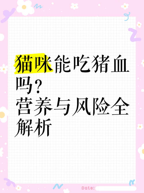 猫咪能吃猪血吗_猫咪能吃猪血吗煮熟的-第1张图片-后鲨宠物 猫咪能吃猪血吗_猫咪能吃猪血吗煮熟的-第1张图片-后鲨宠物