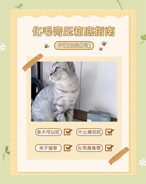 猫咪要吃化毛膏吗,猫咪要吃化毛膏吗??-第2张图片-后鲨宠物 猫咪要吃化毛膏吗,猫咪要吃化毛膏吗??-第2张图片-后鲨宠物