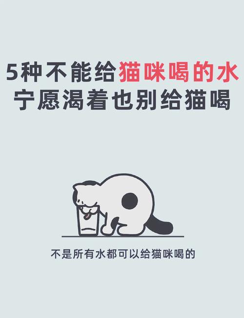 猫咪误食洗衣液怎么办,猫咪误食洗衣液口吐白沫-第2张图片-后鲨宠物 猫咪误食洗衣液怎么办,猫咪误食洗衣液口吐白沫-第2张图片-后鲨宠物