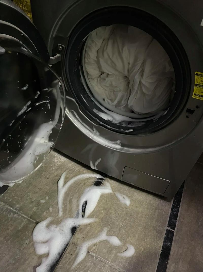 猫咪误食洗衣液怎么办,猫咪误食洗衣液口吐白沫-第4张图片-后鲨宠物 猫咪误食洗衣液怎么办,猫咪误食洗衣液口吐白沫-第4张图片-后鲨宠物