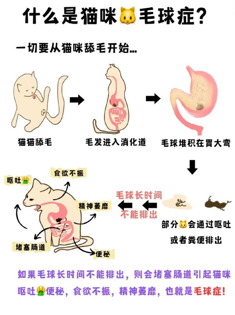 猫咪毛球症怎么治_猫咪毛球症能自愈吗-第3张图片-后鲨宠物 猫咪毛球症怎么治_猫咪毛球症能自愈吗-第3张图片-后鲨宠物