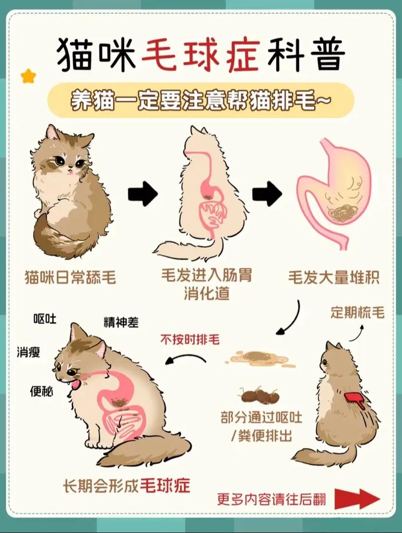 猫咪毛球症怎么治_猫咪毛球症能自愈吗-第2张图片-后鲨宠物 猫咪毛球症怎么治_猫咪毛球症能自愈吗-第2张图片-后鲨宠物