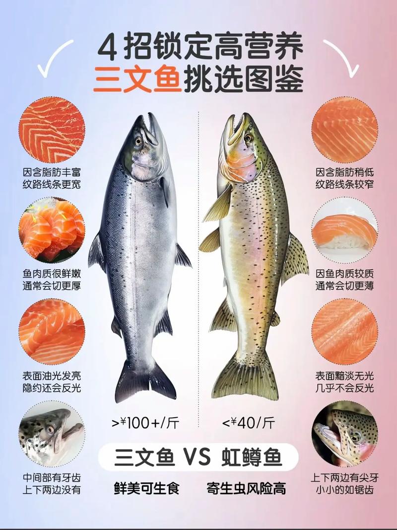 狗狗吃三文鱼的好处,狗狗吃三文鱼的好处和坏处?-第2张图片-后鲨宠物 狗狗吃三文鱼的好处,狗狗吃三文鱼的好处和坏处?-第2张图片-后鲨宠物