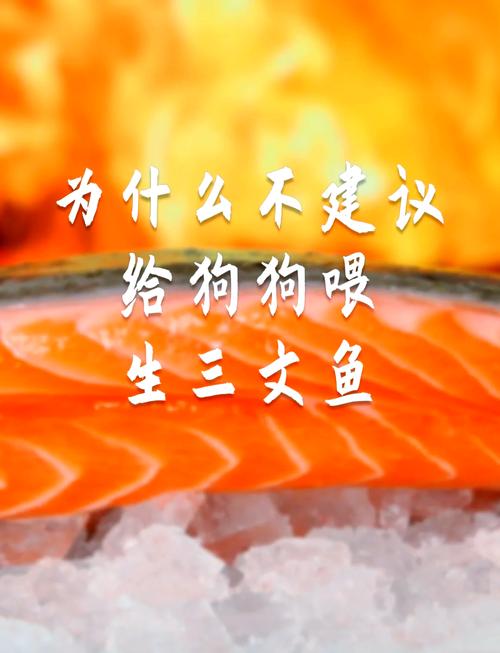 狗狗吃三文鱼的好处,狗狗吃三文鱼的好处和坏处?-第3张图片-后鲨宠物 狗狗吃三文鱼的好处,狗狗吃三文鱼的好处和坏处?-第3张图片-后鲨宠物