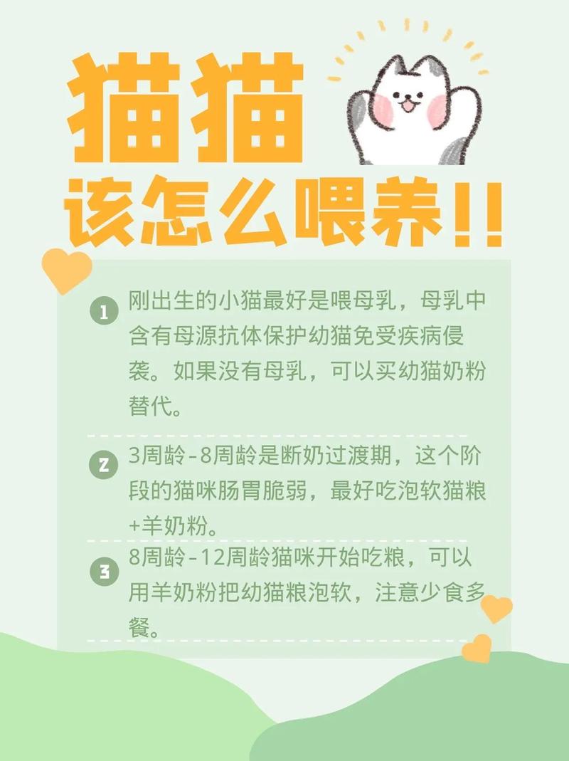 猫咪七天换粮法，猫咪七天换粮法后剩下的旧粮？-第4张图片-后鲨宠物