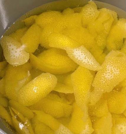 怎么处理狗狗的粪便，大家都是如何处理狗粪便的？-第5张图片-后鲨宠物