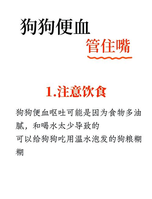 狗狗拉肚子带血吃什么药,狗狗拉肚子带血怎么办可以吃什么药-第3张图片-后鲨宠物 狗狗拉肚子带血吃什么药,狗狗拉肚子带血怎么办可以吃什么药-第3张图片-后鲨宠物