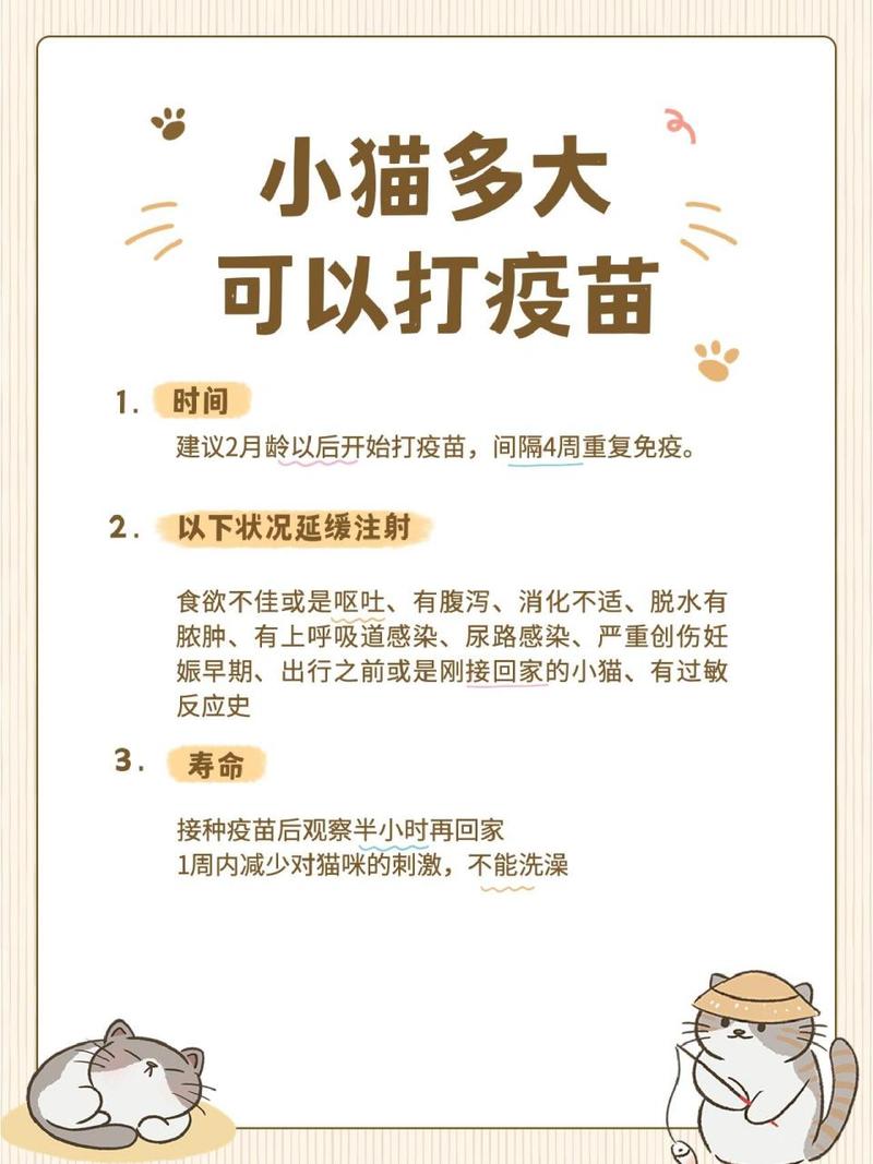 猫咪多大能打疫苗_猫咪多大就可以打疫苗-第2张图片-后鲨宠物 猫咪多大能打疫苗_猫咪多大就可以打疫苗-第2张图片-后鲨宠物