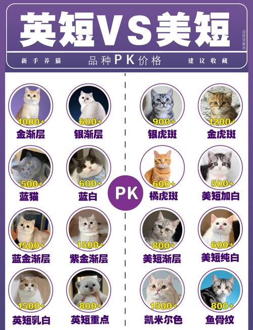 猫猫的英文名字大全_猫猫的英文名吉利点的-第1张图片-后鲨宠物 猫猫的英文名字大全_猫猫的英文名吉利点的-第1张图片-后鲨宠物