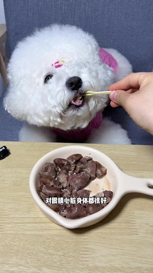 狗狗能吃鸡皮吗_狗狗能吃鸡皮吗会死吗-第1张图片-后鲨宠物 狗狗能吃鸡皮吗_狗狗能吃鸡皮吗会死吗-第1张图片-后鲨宠物