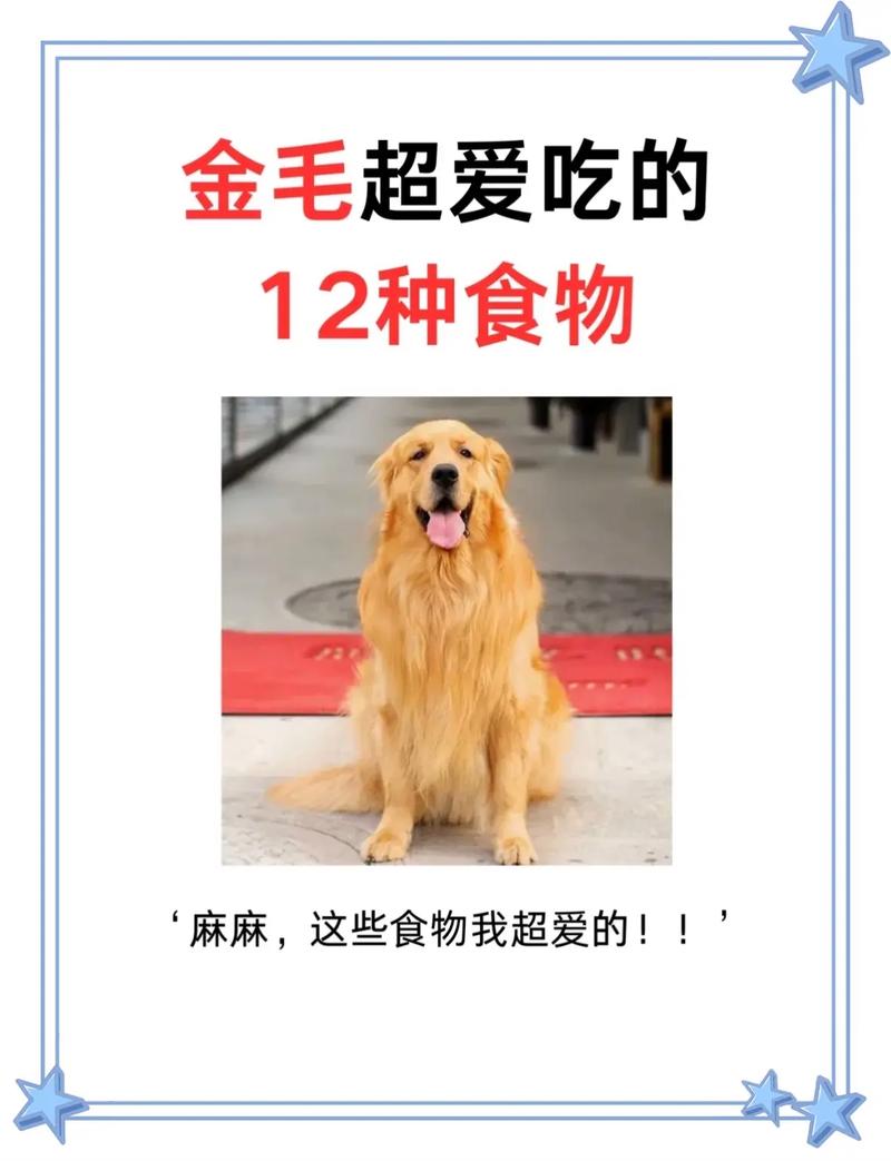 狗狗能吃鸡皮吗_狗狗能吃鸡皮吗会死吗-第5张图片-后鲨宠物 狗狗能吃鸡皮吗_狗狗能吃鸡皮吗会死吗-第5张图片-后鲨宠物