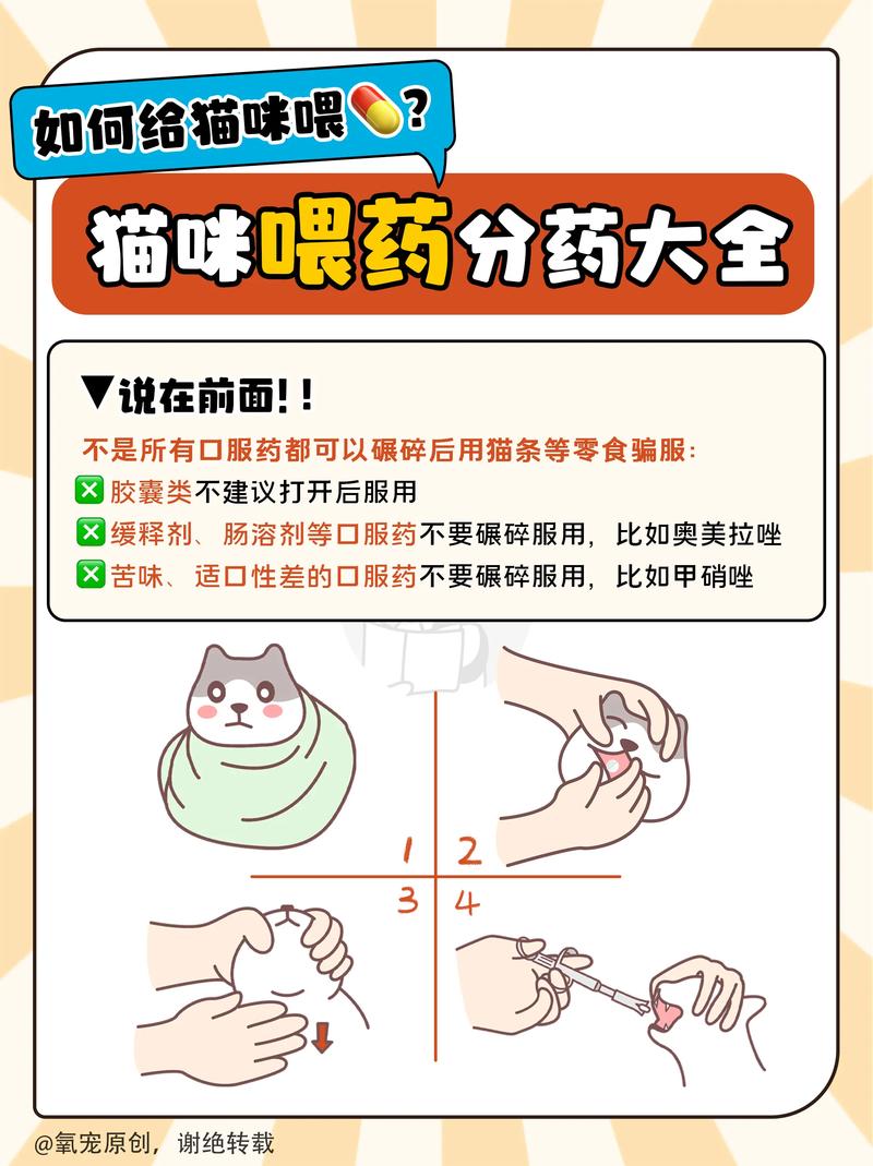 喂猫咪吃药小窍门,如何喂猫吃药手法?-第2张图片-后鲨宠物 喂猫咪吃药小窍门,如何喂猫吃药手法?-第2张图片-后鲨宠物