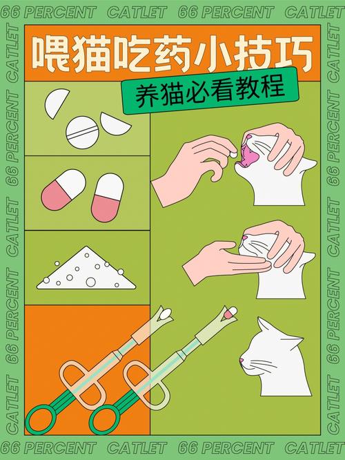喂猫咪吃药小窍门,如何喂猫吃药手法?-第4张图片-后鲨宠物 喂猫咪吃药小窍门,如何喂猫吃药手法?-第4张图片-后鲨宠物