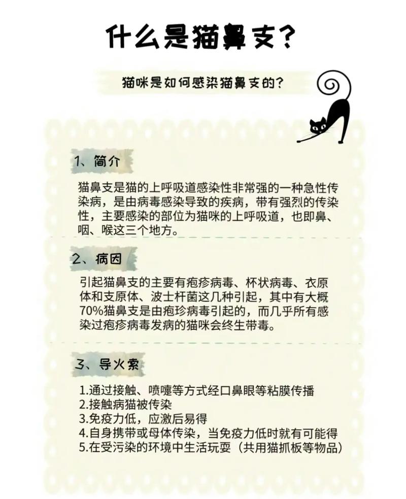 喂猫咪吃药小窍门,如何喂猫吃药手法?-第5张图片-后鲨宠物 喂猫咪吃药小窍门,如何喂猫吃药手法?-第5张图片-后鲨宠物