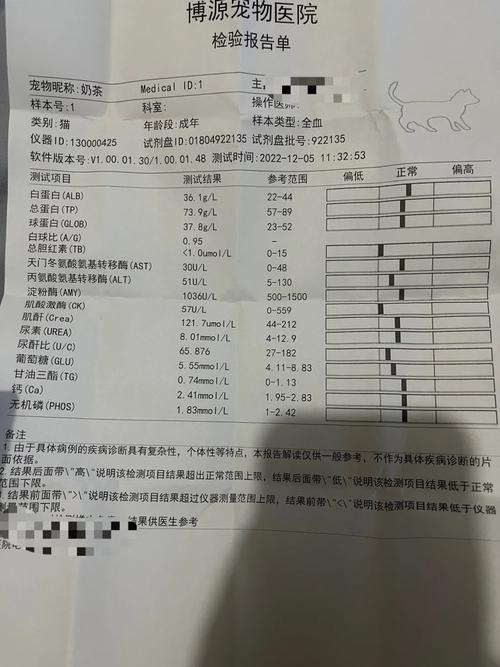 猫咪生化检查有必要吗_猫咪生化全套检查多少钱-第2张图片-后鲨宠物 猫咪生化检查有必要吗_猫咪生化全套检查多少钱-第2张图片-后鲨宠物