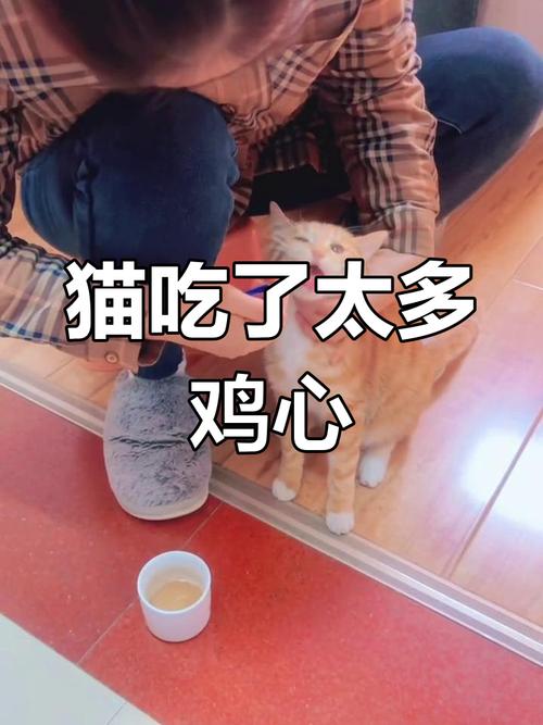 猫咪会不会撑死,猫咪会不会撑死你-第1张图片-后鲨宠物 猫咪会不会撑死,猫咪会不会撑死你-第1张图片-后鲨宠物