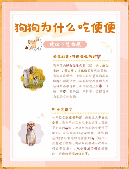 狗狗吃自己便便怎么办,狗狗吃自己屎怎么解决-第3张图片-后鲨宠物 狗狗吃自己便便怎么办,狗狗吃自己屎怎么解决-第3张图片-后鲨宠物