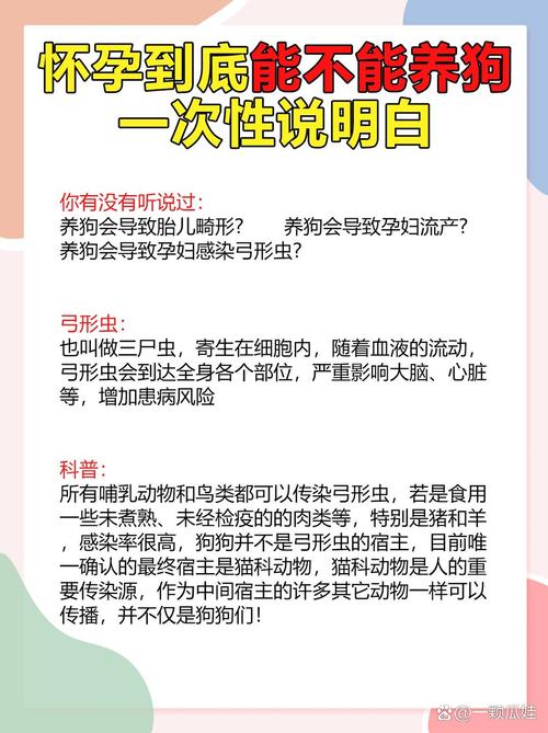 怀孕可不可以养狗狗,怀孕了可以养狗么-第4张图片-后鲨宠物 怀孕可不可以养狗狗,怀孕了可以养狗么-第4张图片-后鲨宠物