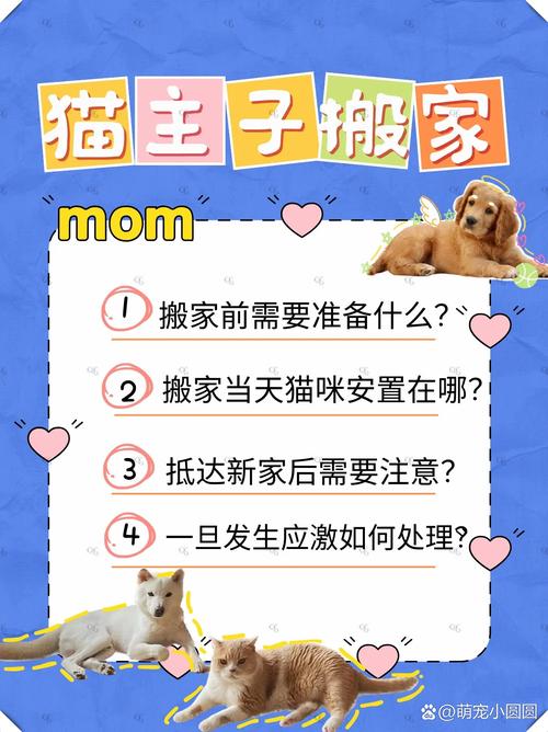 旧包改造成猫咪外出包_旧物改造包包-第3张图片-后鲨宠物 旧包改造成猫咪外出包_旧物改造包包-第3张图片-后鲨宠物