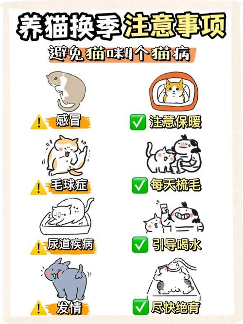 旧包改造成猫咪外出包_旧物改造包包-第5张图片-后鲨宠物 旧包改造成猫咪外出包_旧物改造包包-第5张图片-后鲨宠物