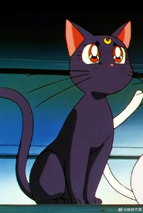 美少女战士猫咪叫什么,美少女战士小猫咪叫什么?-第4张图片-后鲨宠物 美少女战士猫咪叫什么,美少女战士小猫咪叫什么?-第4张图片-后鲨宠物