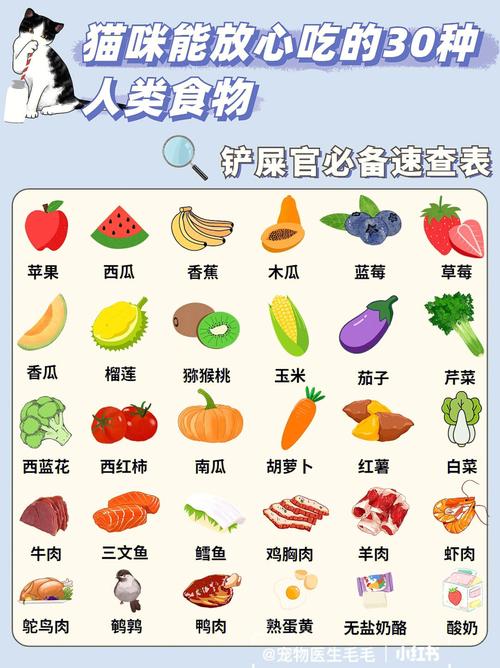 猫咪可以吃豆腐吗,猫咪能吃豆腐干嘛?-第2张图片-后鲨宠物 猫咪可以吃豆腐吗,猫咪能吃豆腐干嘛?-第2张图片-后鲨宠物