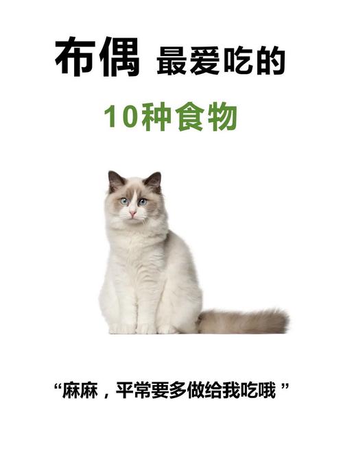  猫咪能吃板栗吗，猫咪能吃板栗吗有毒吗-第6张图片-后鲨宠物