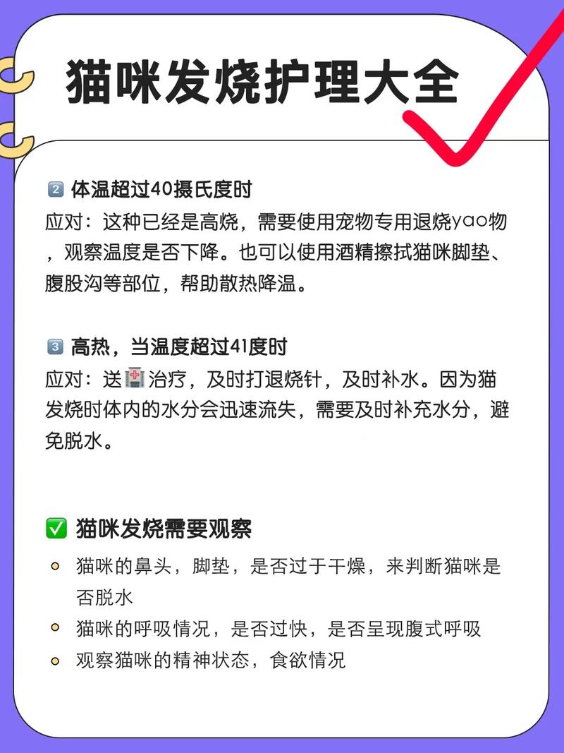猫咪发烧的症状表现,猫咪发烧的症状表现有哪些-第2张图片-后鲨宠物 猫咪发烧的症状表现,猫咪发烧的症状表现有哪些-第2张图片-后鲨宠物