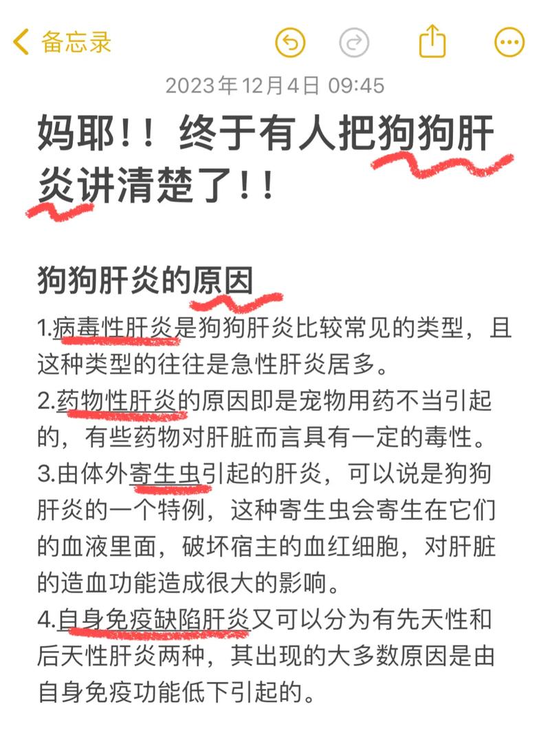 狗狗肝脏受损5大征兆,狗狗肝脏严重受损能治好吗?-第2张图片-后鲨宠物 狗狗肝脏受损5大征兆,狗狗肝脏严重受损能治好吗?-第2张图片-后鲨宠物