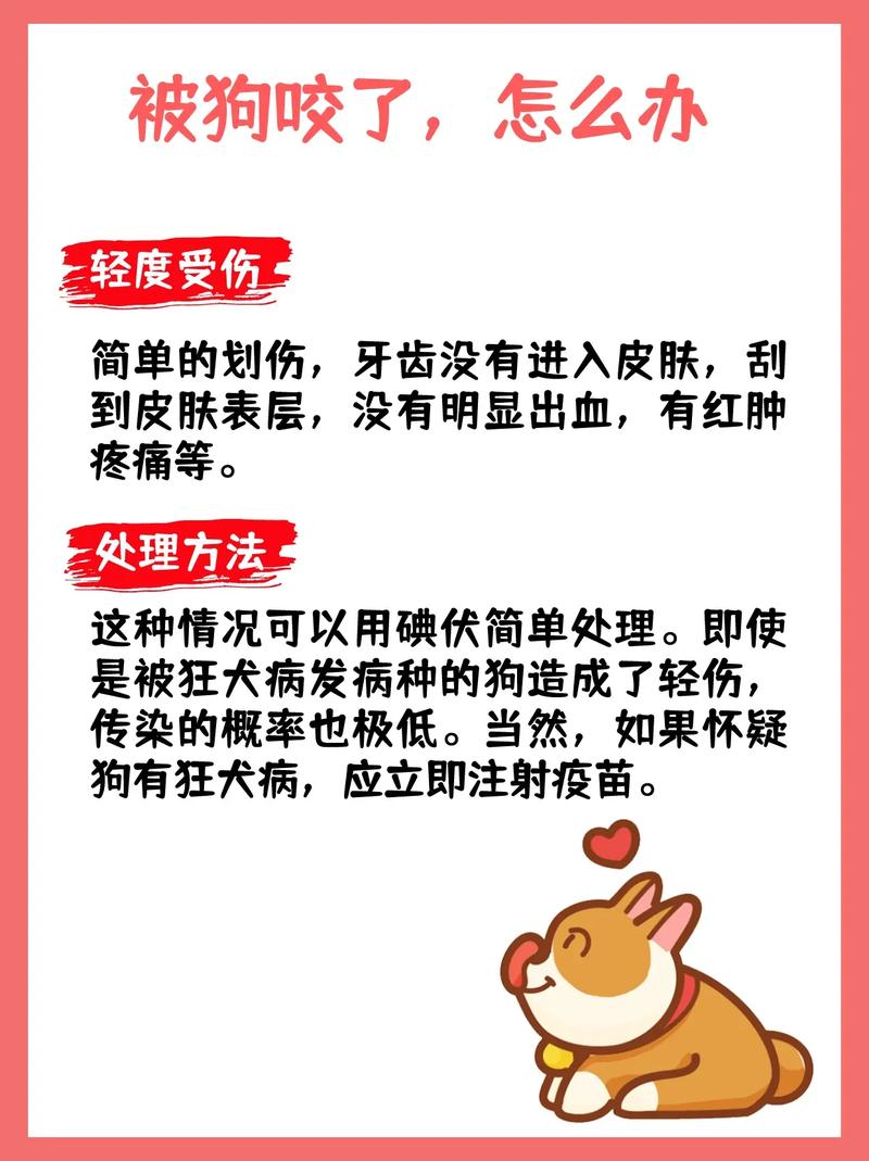 狗狗被虫子咬了怎么办,狗狗被虫子咬了有小红点怎么办-第4张图片-后鲨宠物 狗狗被虫子咬了怎么办,狗狗被虫子咬了有小红点怎么办-第4张图片-后鲨宠物