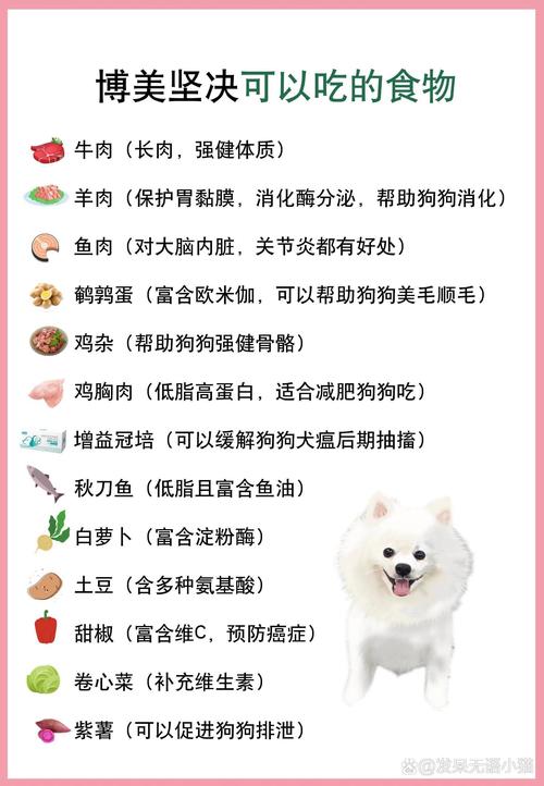 狗狗可以吃黑木耳吗_狗狗可以吃黑木耳吗?-第5张图片-后鲨宠物 狗狗可以吃黑木耳吗_狗狗可以吃黑木耳吗?-第5张图片-后鲨宠物