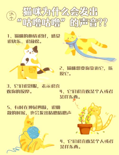 猫猫睡觉打呼噜,猫猫睡觉打呼噜声音特别大?-第3张图片-后鲨宠物 猫猫睡觉打呼噜,猫猫睡觉打呼噜声音特别大?-第3张图片-后鲨宠物