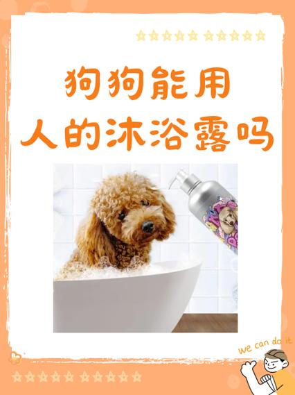 狗狗可以用护发素吗,狗狗能用护发素洗澡吗-第4张图片-后鲨宠物 狗狗可以用护发素吗,狗狗能用护发素洗澡吗-第4张图片-后鲨宠物