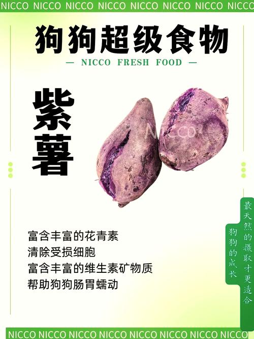 紫薯对狗狗有什么好处_紫薯对狗狗有什么好处吗-第2张图片-后鲨宠物 紫薯对狗狗有什么好处_紫薯对狗狗有什么好处吗-第2张图片-后鲨宠物