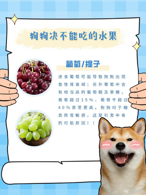 狗狗可以吃油桃吗,狗子可以吃油桃嘛-第1张图片-后鲨宠物 狗狗可以吃油桃吗,狗子可以吃油桃嘛-第1张图片-后鲨宠物