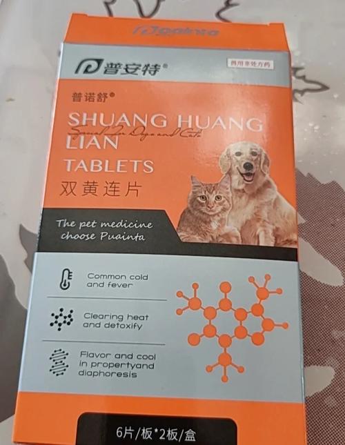 猫咪普通感冒吃什么药,猫咪感冒吃什么药??-第4张图片-后鲨宠物 猫咪普通感冒吃什么药,猫咪感冒吃什么药??-第4张图片-后鲨宠物