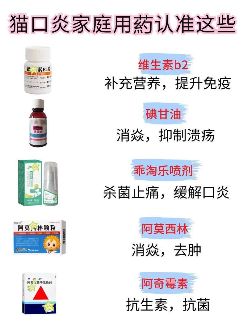 猫咪伤口化脓怎么办,猫咪伤口化脓越来越大?-第1张图片-后鲨宠物 猫咪伤口化脓怎么办,猫咪伤口化脓越来越大?-第1张图片-后鲨宠物