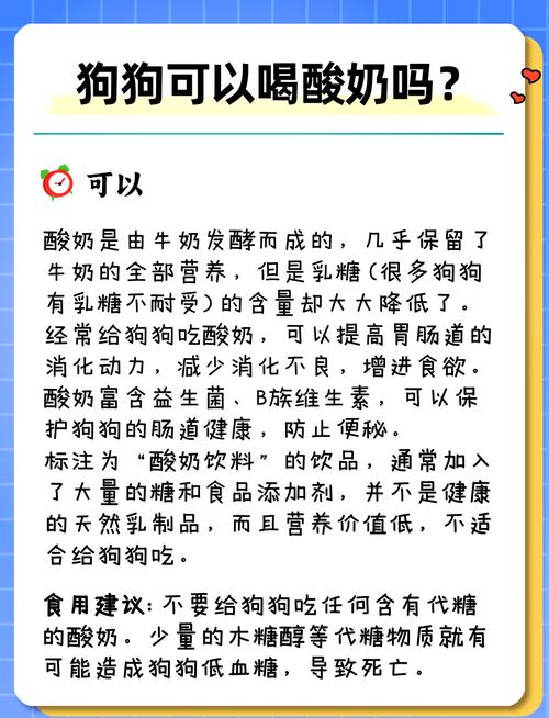 狗狗可以喝乳酸菌吗,狗狗可不可以喝乳酸菌-第2张图片-后鲨宠物 狗狗可以喝乳酸菌吗,狗狗可不可以喝乳酸菌-第2张图片-后鲨宠物