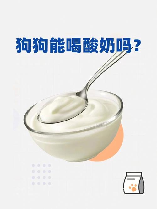 狗狗可以喝乳酸菌吗,狗狗可不可以喝乳酸菌-第4张图片-后鲨宠物 狗狗可以喝乳酸菌吗,狗狗可不可以喝乳酸菌-第4张图片-后鲨宠物