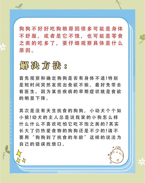 狗狗吃狗粮不嚼的危害_狗子吃狗粮不嚼-第3张图片-后鲨宠物 狗狗吃狗粮不嚼的危害_狗子吃狗粮不嚼-第3张图片-后鲨宠物