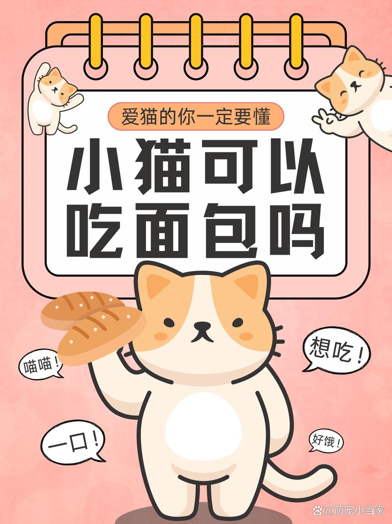 猫咪能吃面包吗_遇见流浪猫可以喂什么-第3张图片-后鲨宠物 猫咪能吃面包吗_遇见流浪猫可以喂什么-第3张图片-后鲨宠物