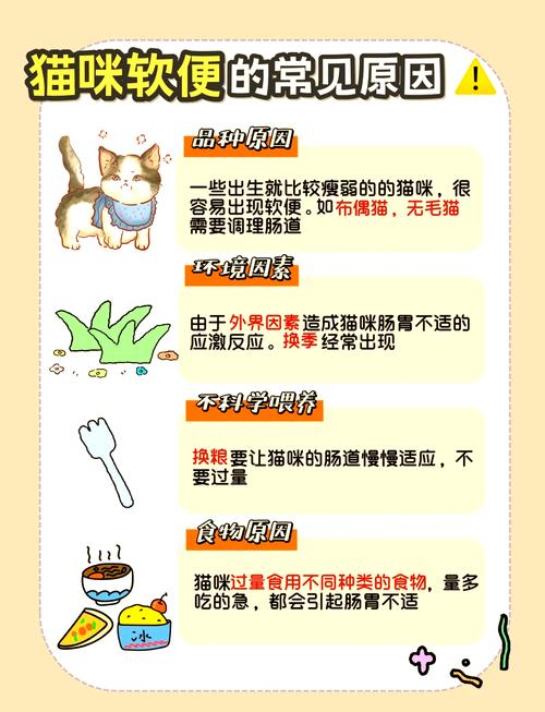 猫咪一直拉软便怎么办_猫咪老是拉软便怎么回事-第3张图片-后鲨宠物 猫咪一直拉软便怎么办_猫咪老是拉软便怎么回事-第3张图片-后鲨宠物