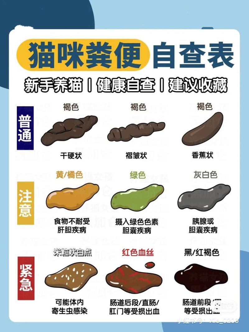 猫咪一直拉软便怎么办_猫咪老是拉软便怎么回事-第4张图片-后鲨宠物 猫咪一直拉软便怎么办_猫咪老是拉软便怎么回事-第4张图片-后鲨宠物