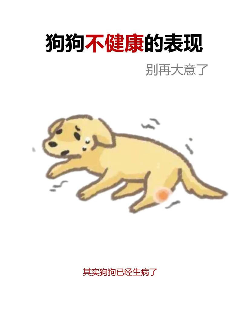 狗狗不舒服的表现,狗狗不舒服是怎么回事?-第1张图片-后鲨宠物 狗狗不舒服的表现,狗狗不舒服是怎么回事?-第1张图片-后鲨宠物