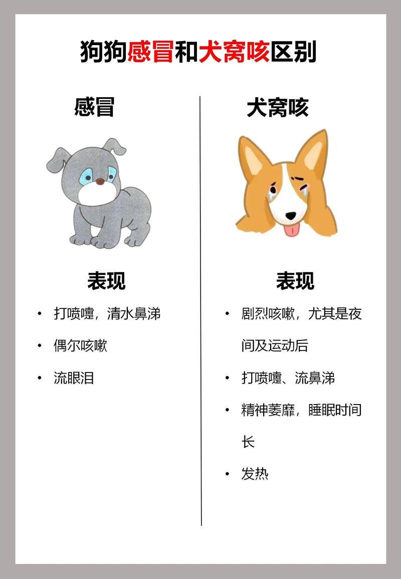 狗狗不舒服的表现,狗狗不舒服是怎么回事?-第4张图片-后鲨宠物 狗狗不舒服的表现,狗狗不舒服是怎么回事?-第4张图片-后鲨宠物